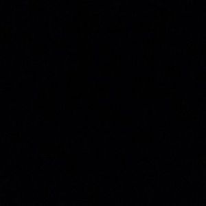 Meet your Posher, Loyalty